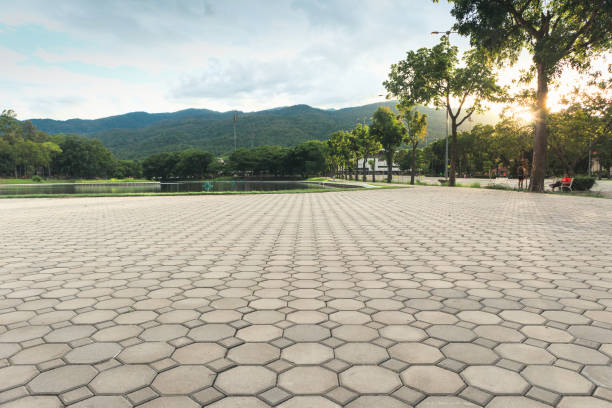 Best Residential Paver Driveway  in Catasauqua, PA